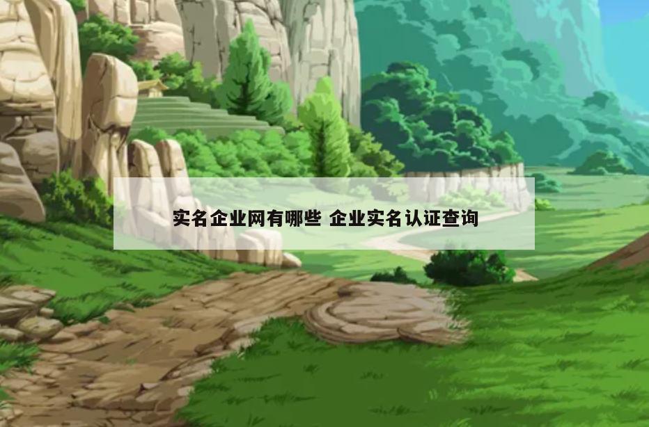 实名企业网有哪些 企业实名认证查询