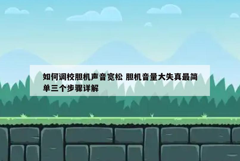 如何调校胆机声音宽松 胆机音量大失真最简单三个步骤详解