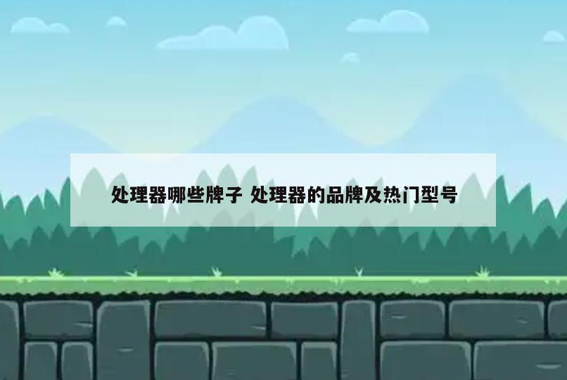 处理器哪些牌子 处理器的品牌及热门型号
