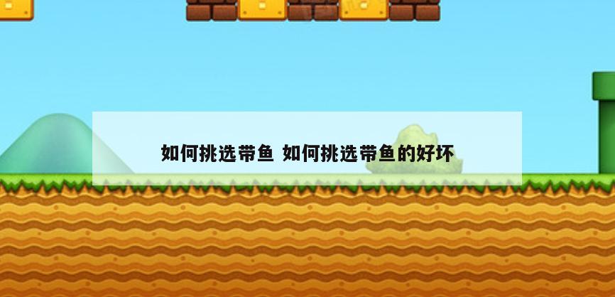如何挑选带鱼 如何挑选带鱼的好坏