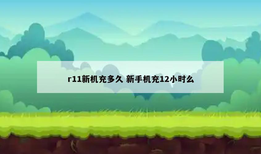 r11新机充多久 新手机充12小时么
