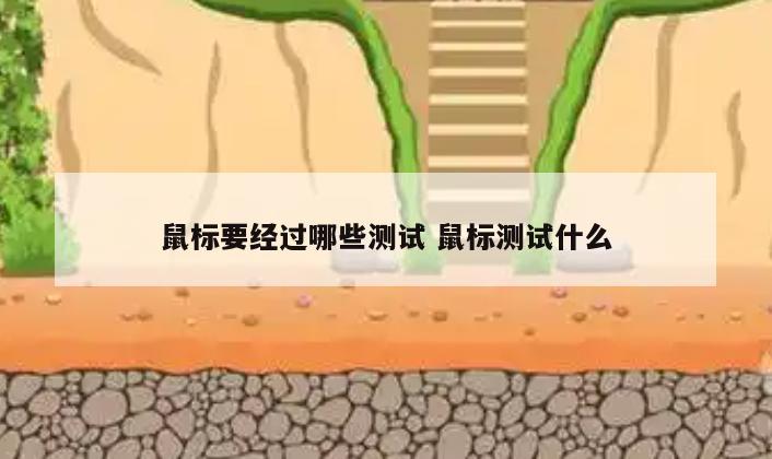 鼠标要经过哪些测试 鼠标测试什么