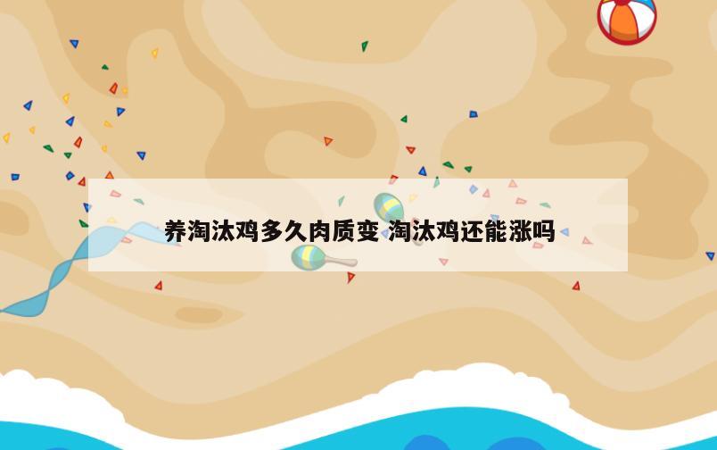 养淘汰鸡多久肉质变 淘汰鸡还能涨吗