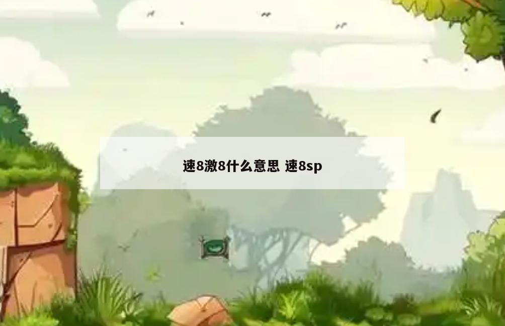 速8激8什么意思 速8sp