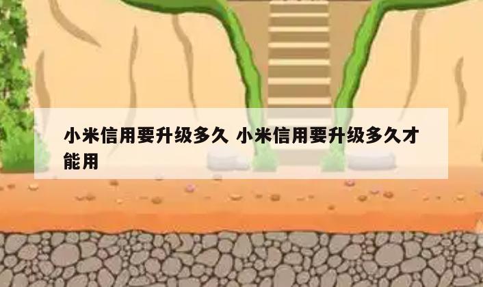 小米信用要升级多久 小米信用要升级多久才能用