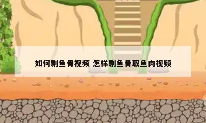 如何剔鱼骨视频 怎样剔鱼骨取鱼肉视频