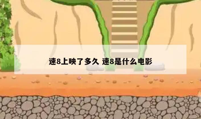 速8上映了多久 速8是什么电影